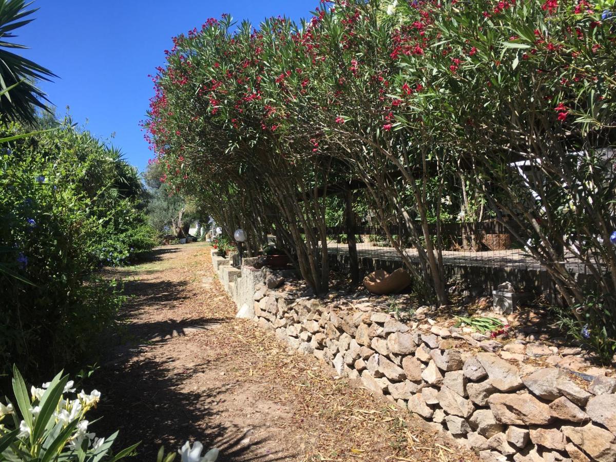 Garden Carloforte (Isola di San Pietro)